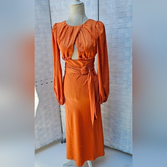 PETAL AND PUP MIDI DRESS - Picture 3 of 12